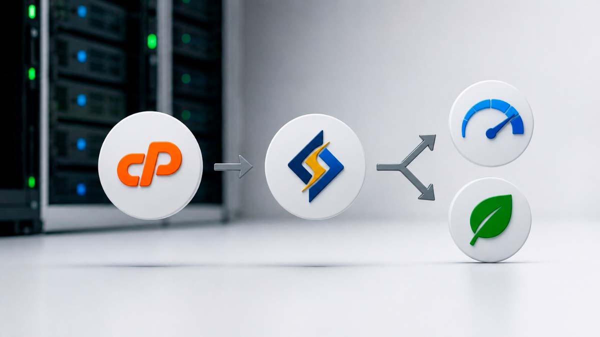 Performance stack: cPanel, LiteSpeed, and where the two diverge